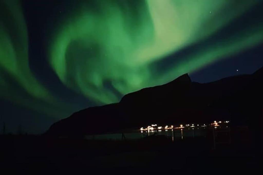 Apartment I Rorbu Pa - Yttersia Senja Kallfarnes