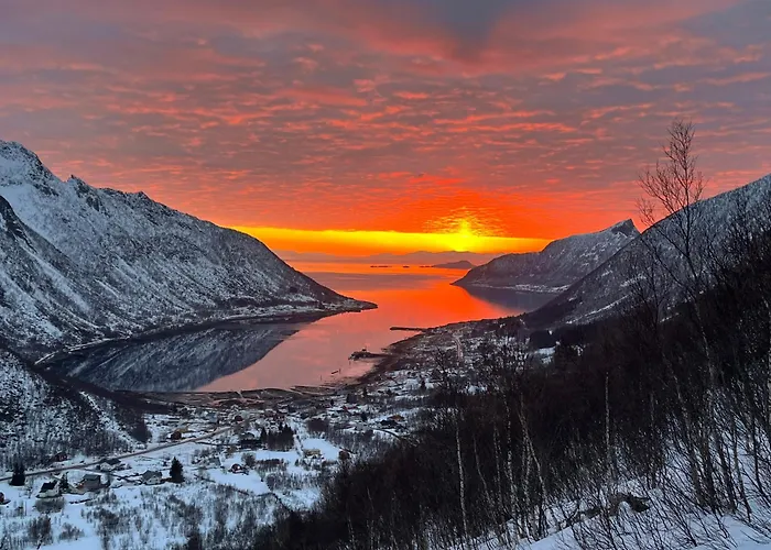 Leilighet I Rorbu Pa Kaldfarnes - Yttersia Senja